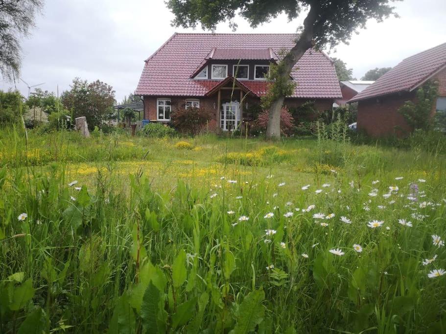 Floor With Private Entrance * Brunsbuttel